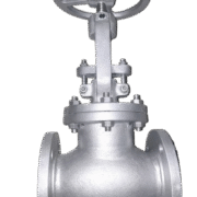 Globe Valves